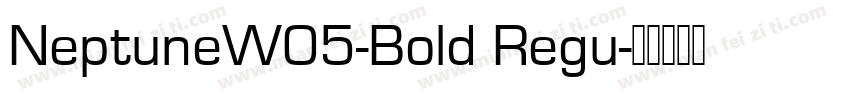 NeptuneW05-Bold Regu字体转换